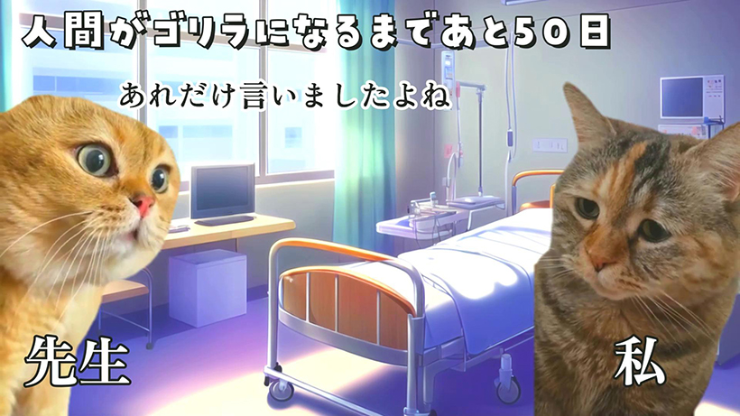 15猫ミーム.jpg