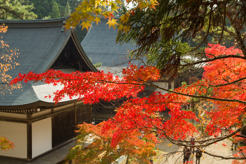 神护寺2.jpg