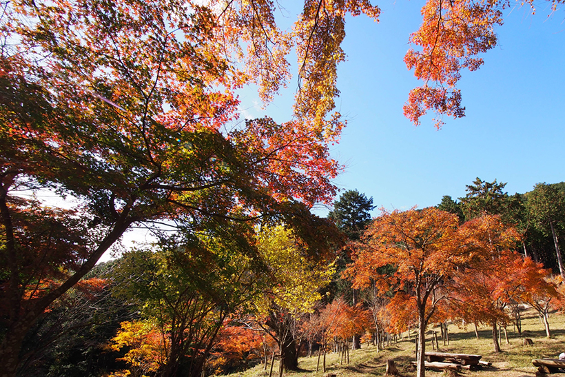 池峰1.jpg