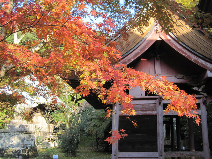 小松寺.jpg