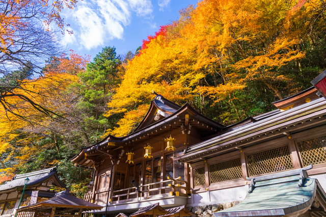 【京都紅葉スポット】洛北で紅葉の名所を巡る「貴船神社コース」 | ルトロン