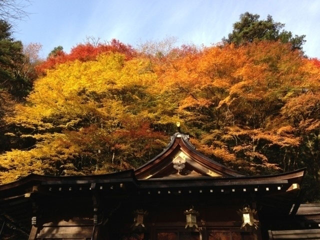 貴船神社の紅葉｜紅葉情報2021