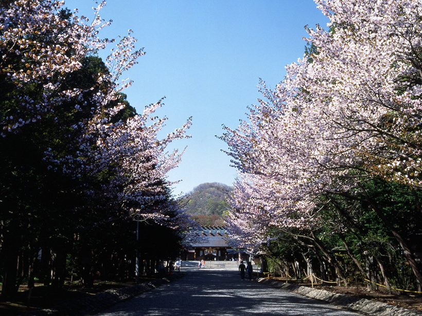 北海道神宫2.jpg
