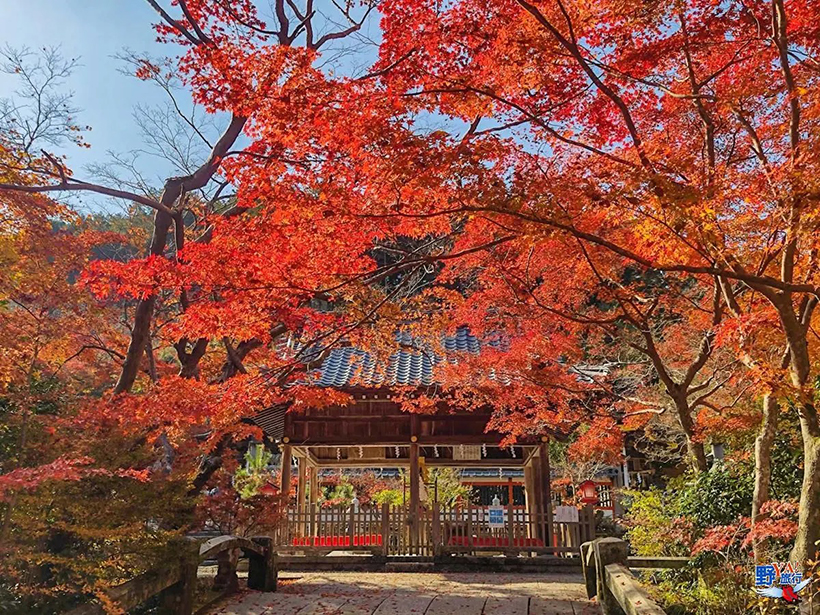 锹山神社.jpg