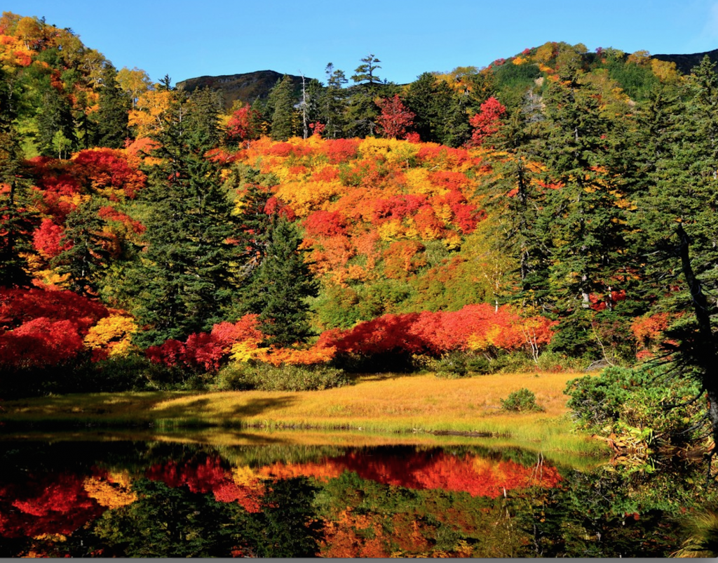 日本一早い紅葉「北海道の大雪山」で雄大な秋の大自然を楽しもう
