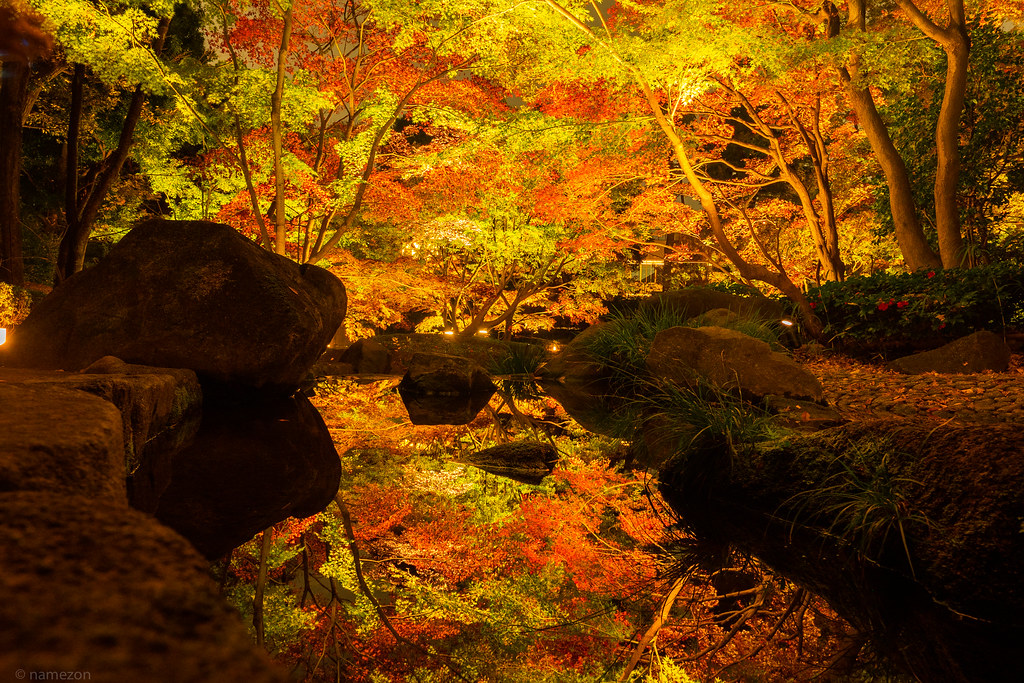 大田黒公園 - a photo on Flickriver
