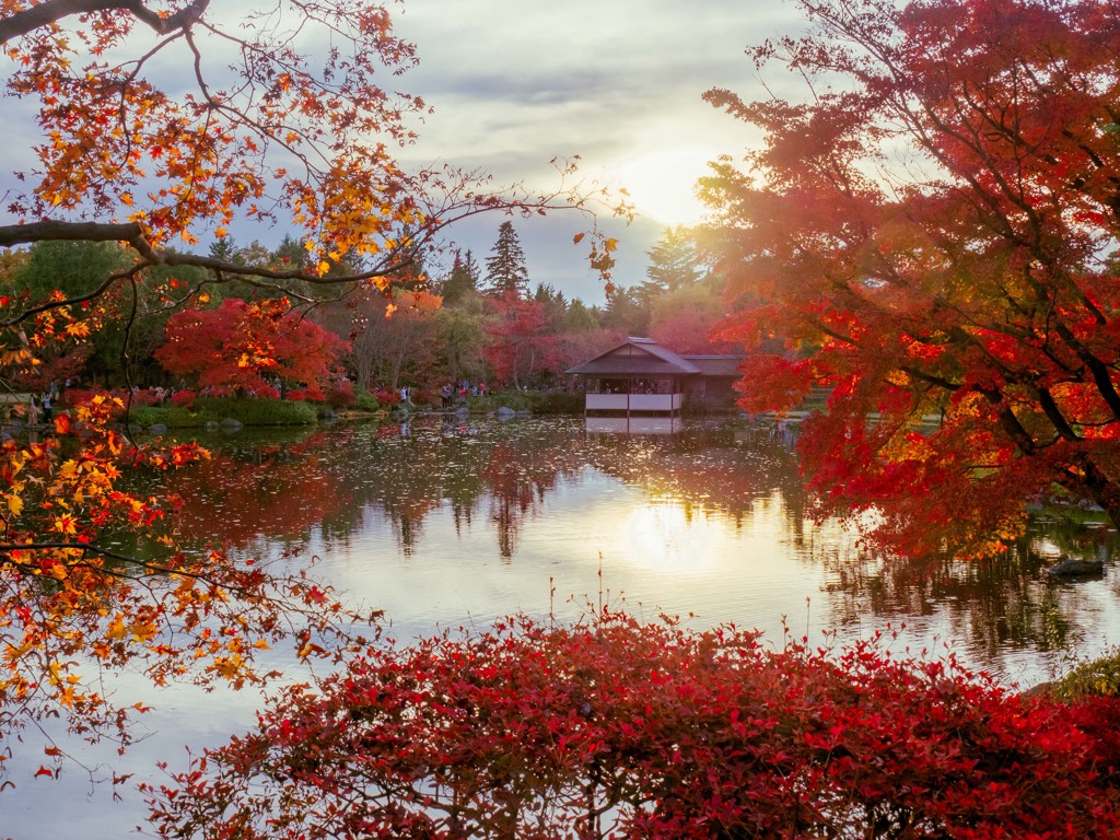 昭和記念公園・紅葉の日本庭園の夕景 by mokuren （ID：6195365） - 写真共有サイト:PHOTOHITO