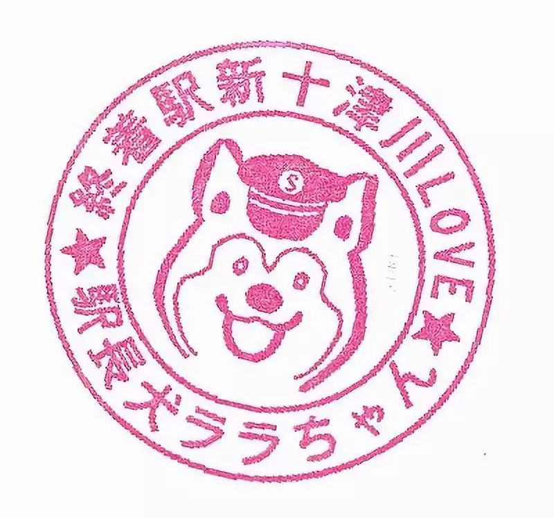 柴犬站长,柴犬店长,柴犬主播…全日本人气最高的柴犬都在这里了!