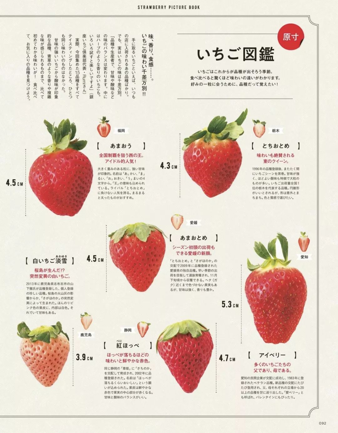 草莓各部分名称图片